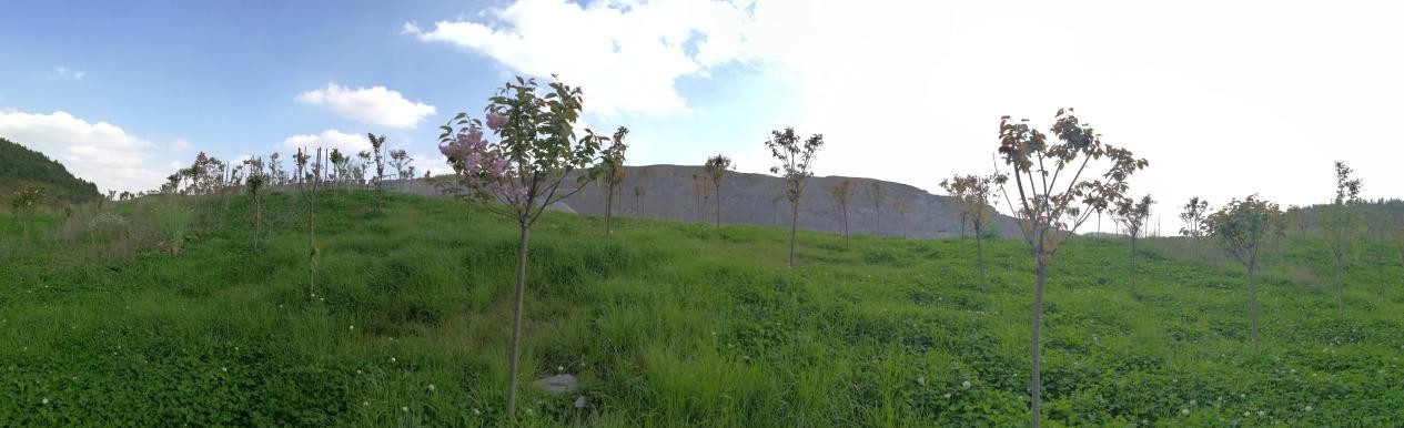 复绿防尘两手抓，转型建设添新瓦 —贵州招港在生态矿山建设道路上大步前进