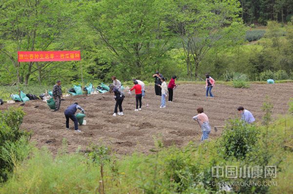 2024新澳门原料大全