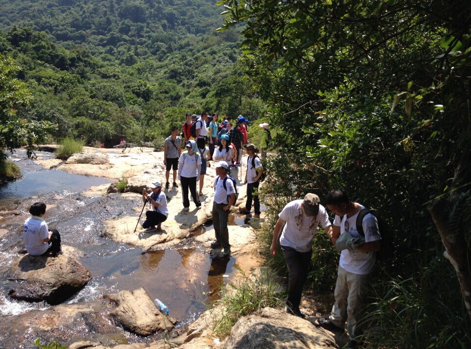 “心港湾、新征途”－招商港湾集团马峦山徒步活动-